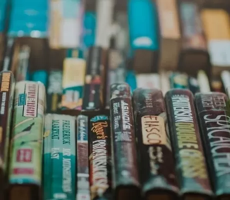 Best Graphic Novel Series for 9 and 10 year olds